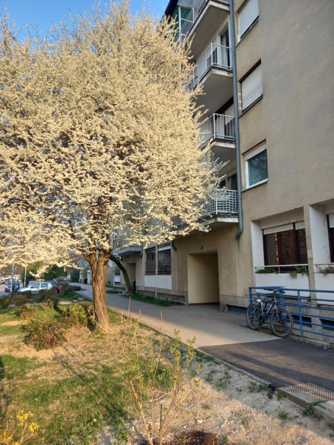 Apartment Jarun Comfort Zagreb Extérieur photo